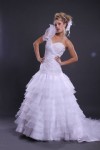 Jos Luis Ortega - Expo Nupcias