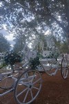 Carruaje de Cenicienta - Expo Nupcias