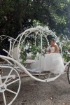 Carruaje de Cenicienta - Expo Nupcias